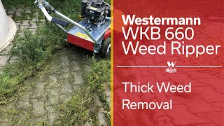 Westermann Weed Ripper  SPA Power Machinery [upl. by Adnerb]