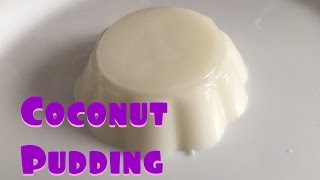 SIMPLE Coconut Milk Pudding Recipe ONLY 4 ingredients  椰汁糕 [upl. by Pool]