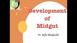 Development of Midgut [upl. by Rostand]