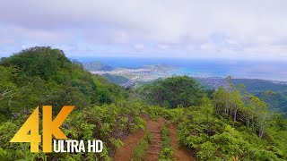 4K Virtual Walk  Walking in the Forest  Hawaiian Kuliouou Ridge Trail  15 HRS [upl. by Atreb]