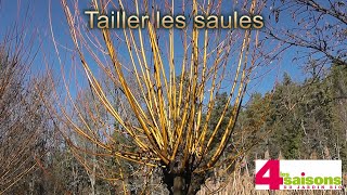 Tailler les saules  Les 4 Saisons du jardin bio [upl. by Ecinerev157]