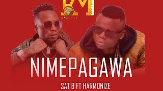 Sat bNimepagawa ft Harmonize Studio session [upl. by Templa868]