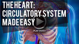 The Circulatory System Made Easy [upl. by Hube]