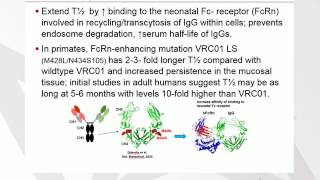 Broadly Neutralizing Antibodies against HIV [upl. by Annil638]