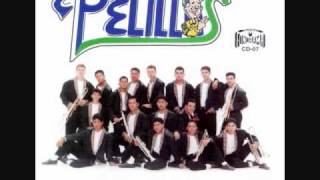 Banda Pelillos Que bonita te ves [upl. by Ecyarg]