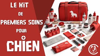 Comment préparer un kit de premiers soins pour votre chien [upl. by Tina]