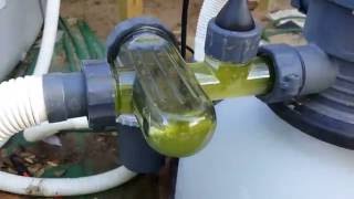 Intex SWG with Sand and Cartridge Filter vs Algea ECO20110 [upl. by Heath]