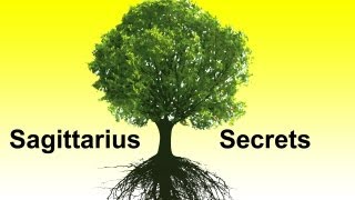 Mula Nakshatra Vedic Astrology Sagittarius Horoscope Secrets Ep 18 [upl. by Oyam]