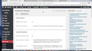 Remove Render Blocking Javascript and CSS With Autoptimize Plugin [upl. by Phelia]