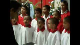 Himno Nacional en idioma Yarurowmv [upl. by Treve]