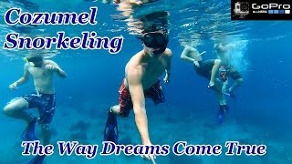 GoPro underwater  Cozumel Snorkeling  Diving in Cozumel Mexico  Reefs  GoPro HD [upl. by Ainevul]