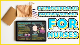 Hydrocephalus Pathophysiology  Everything You Need to Know [upl. by Supat814]