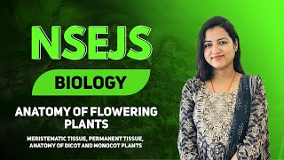 NSEJS  BIOLOGY  Anatomy of Flowering Plants  Class 9 [upl. by Poul]