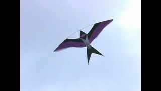 Bird Kites at Dieppe  2004 kite festival [upl. by Honeyman863]