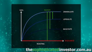 SiLeach® processing overview  Lithium Australia [upl. by Sabra745]