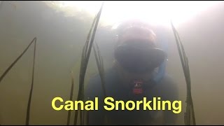 Snorkelen in de sloot  Snorkling in the canal [upl. by Daphene]