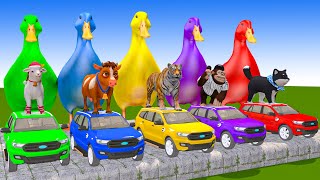 5 Giant Duck CartoonCowTigerElephantSheepMonkey Paint Wild Animals Crossing Fountain Animation [upl. by Burk]