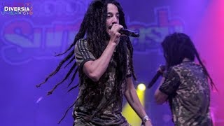 MELLOW MOOD  LIVE  ROTOTOM SUNSPLASH 2017 [upl. by Maillliw]