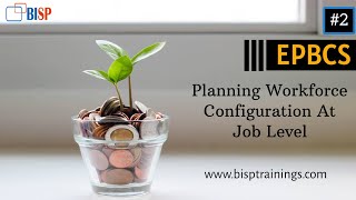 What are the steps in a Workforce Planning process [upl. by Gottuard]