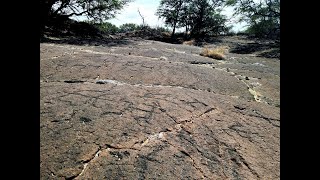 Puako Petroglyphs [upl. by Adnamahs]