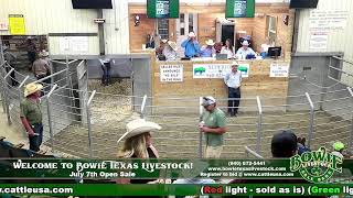 Bowie Texas Livestock July 7th Open Sale [upl. by Sedgewinn]