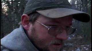 Go Wild Homesteading in Alaska How and Where Part 2 [upl. by Biggs930]