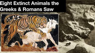 Eight Extinct Animals the Greeks amp Romans Saw [upl. by Clippard437]