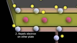 How a Capacitor Works  by Dr Oliver Winn [upl. by Issi]