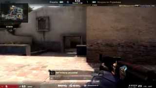 ESL One Cologne 2014 Grand Finals  Friberg Ace vs Fnatic [upl. by Conias]