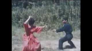 Old Footage of Hatsumi Soke and Bujinkan Budo Taijutsu 武神館道場武道体術 and Ninpo Taijutsu [upl. by Tayib803]