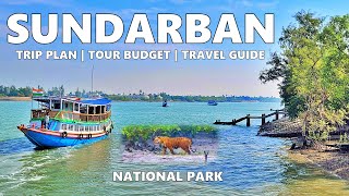 Sundarban Tour Guide Trip Plan Tour Budget Travel Vlog  Sundarbans National Park  Sundarbn Tour [upl. by Arianne]