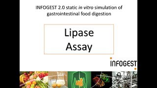 Lipase Activity Assay for the INFOGEST 20 Method for Food 2019 update in Nature Protocols [upl. by Brocklin]