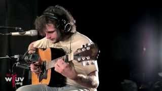 Ryley Walker  quotPrimrose Greenquot Live at WFUV [upl. by Niliac948]