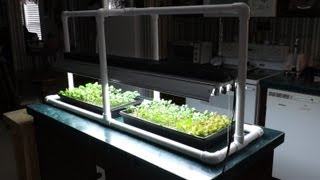 Hydroponic Seed Starting amp Simple PVC Grow Light Stand [upl. by Ardnoid936]