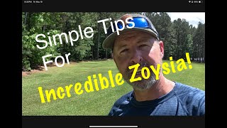 Zoysia  How to Grow Incredible Zoysia [upl. by Aikemat]