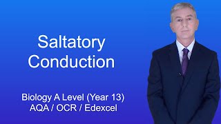 A Level Biology Revision Year 13 quotSaltatory Conductionquot [upl. by Ahsemat]