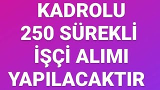 Kamuya Torpilsiz Mülakatsız Kadrolu 250 Kişi İşe Alınacaktır Başvuru linkini ekledik [upl. by Milissent109]