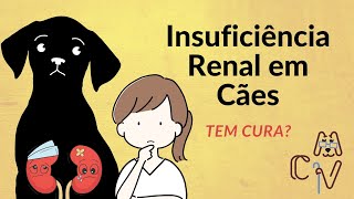 Insuficiência Renal Crônica em Cães tem tratamento [upl. by Lebama]