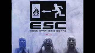 ESC  The Robots [upl. by Saravat]