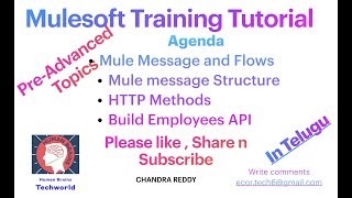 What is Mulesoft  Mulesoft Overview  Mulesoft Tutorial  Mulesoft Training Details in తెలుగు  HKR [upl. by Emsoc]