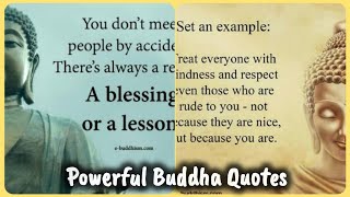 Buddha Quotes  Motivational Quotes In English  Life Changing Buddha Quotes [upl. by Stier]