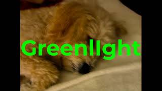 Greenlight BY LIL BILZ [upl. by Eugenia]