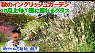 【イングリッシュガーデン】館長解説①夏から秋へ変化する庭の植物たち【咲くやこの花館】 [upl. by Hcire220]