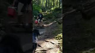 stairs down to halfway hot springs Nakusp BC [upl. by Tildi865]