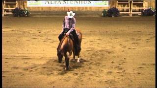 AQHA Reining R Kronsteiner  Chic N Roost [upl. by Nolyak]