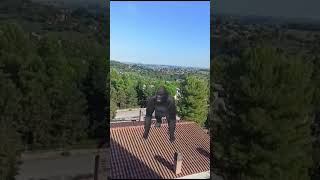 gorilla beating chest sound viral gorilla [upl. by Anairdna]