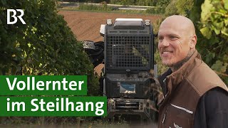 Erntemaschine im Weinberg Moderne Technik erntet Trauben im Steilhang  Unser Land  BR [upl. by Atinoj]