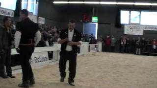 Simmentaler Eliteschau 2012  Misswahl Senior [upl. by Yrallih]