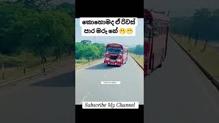 රිවස් එක😁bus trending automobile 1million [upl. by Barr]