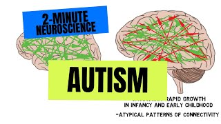 2Minute Neuroscience Autism [upl. by Eliga]